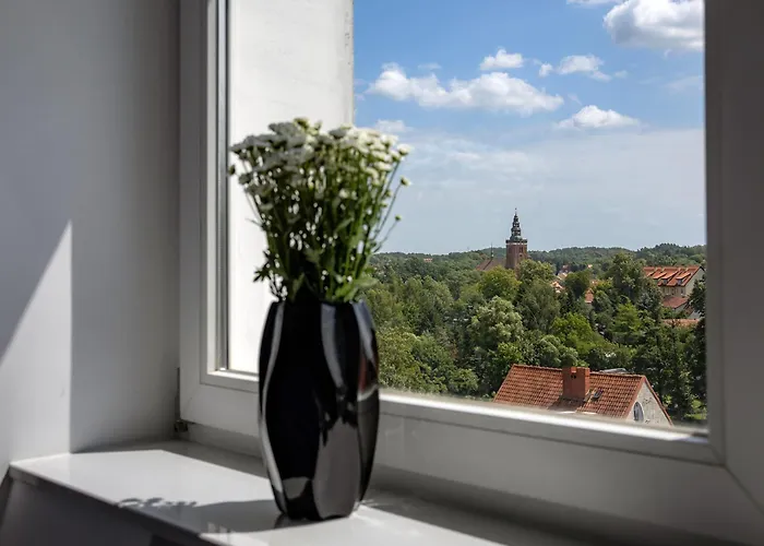 Apartament Alpaka 1