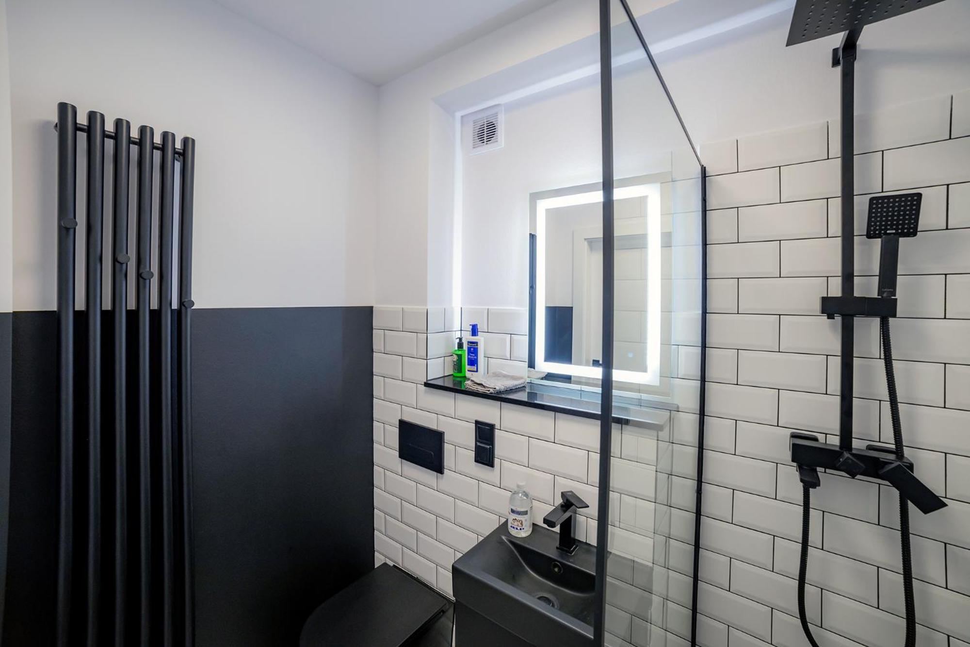 Alpaka 1 Apartment Lidzbark Warmiński