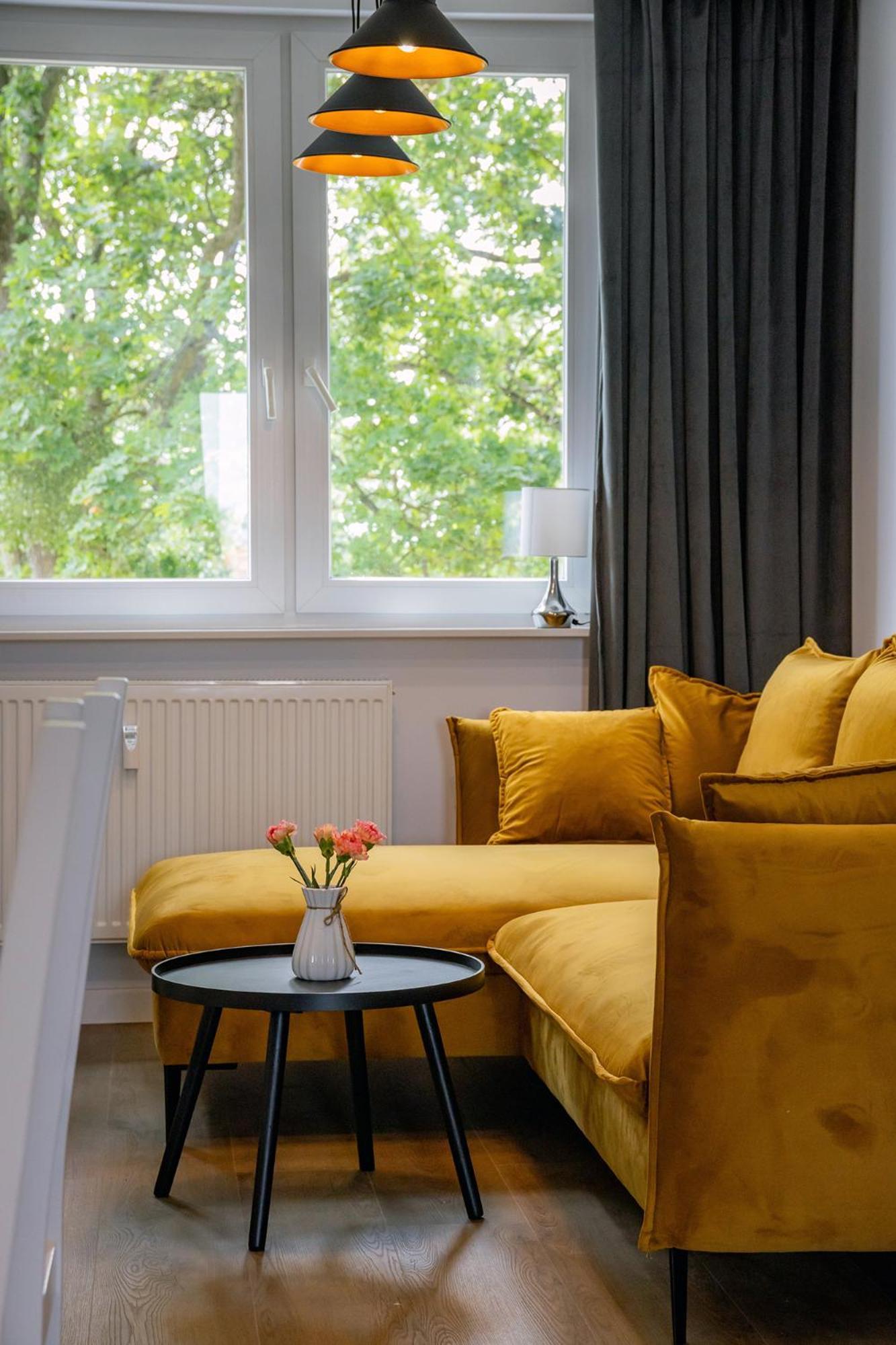 Apartment Alpaka 1 Lidzbark Warmiński